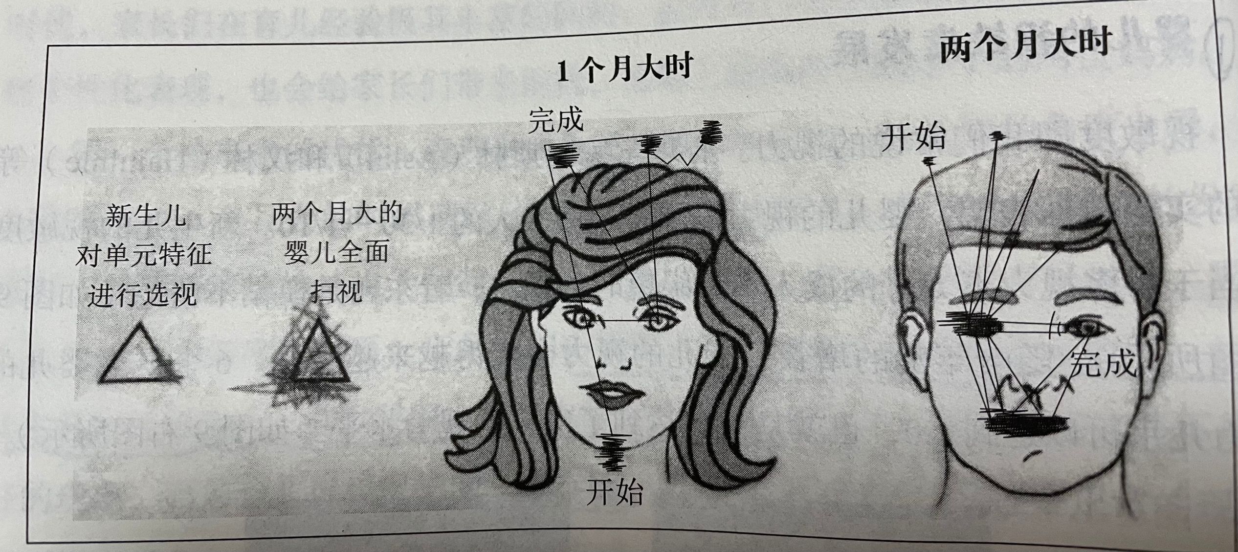 两周岁宝宝认生一般过渡期有多久,2岁宝宝认生正确方法