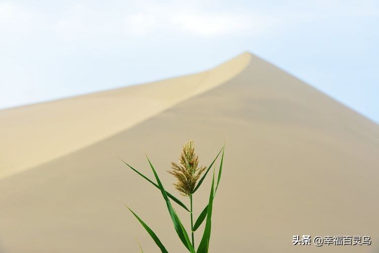 有了这攻略,自驾*藏西**游省心很多