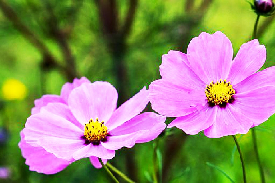 比较饱含深意的个性签名,好的个性签名简短又有意义