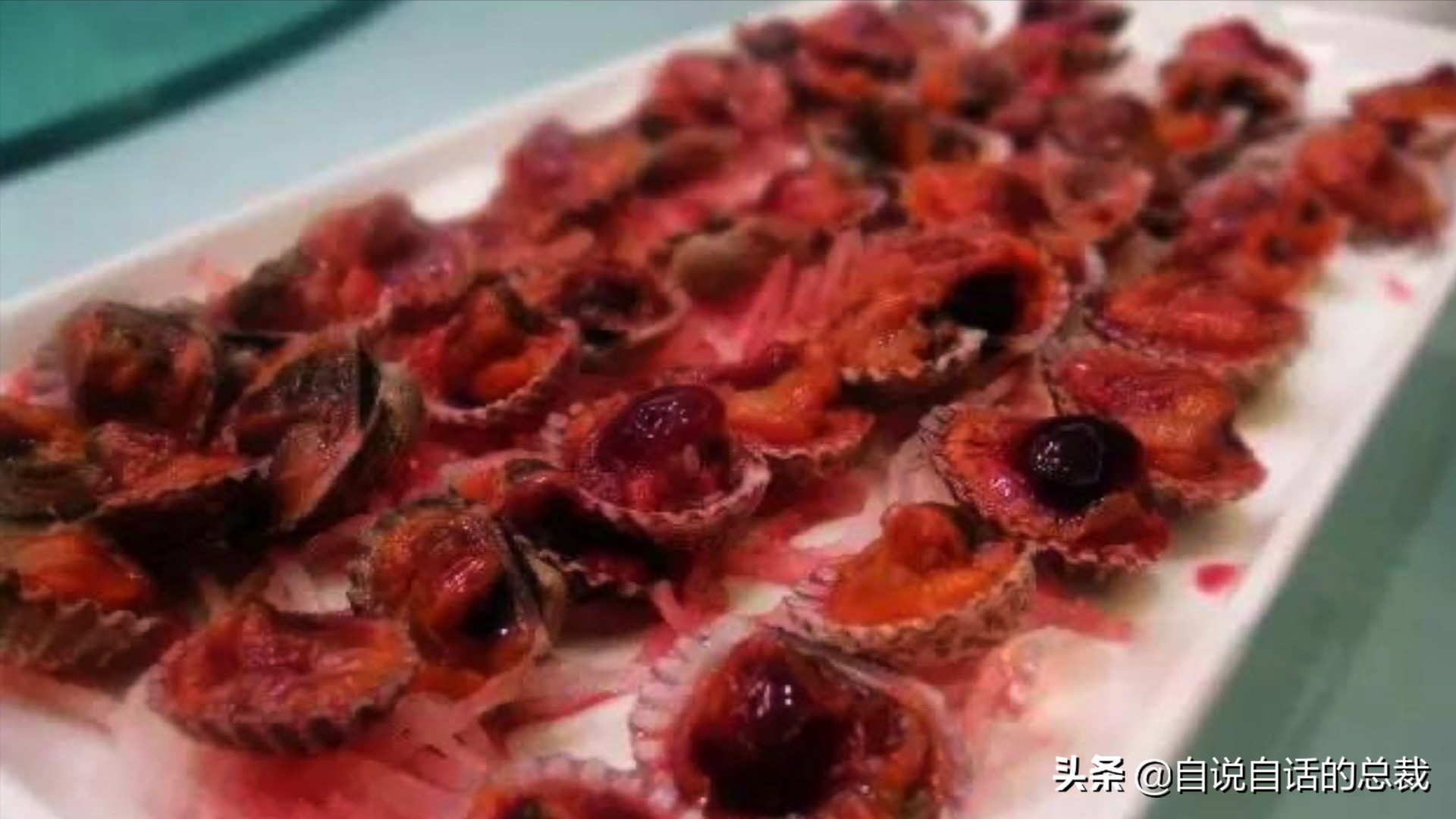 蚶蛤蛏蚬区别,蛤蜊蚶子蛏子区别