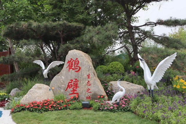 郑州值得打卡的免费公园,郑州网红打卡圣地蝶湖森林公园