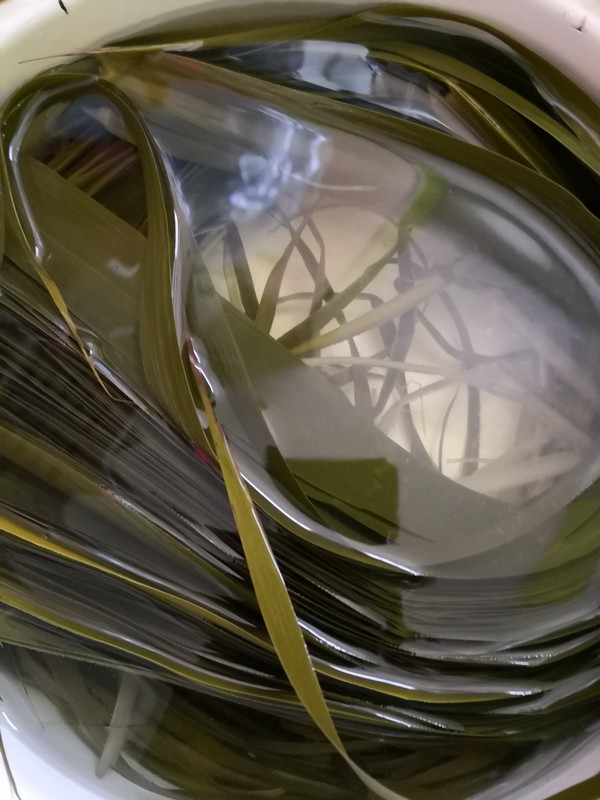 女生贫血体寒吃什么食物,天气冷女人多吃什么食物御寒