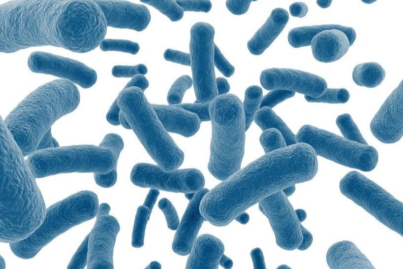 孢子吸入肺部会怎么样,吸入孢子会怎么样