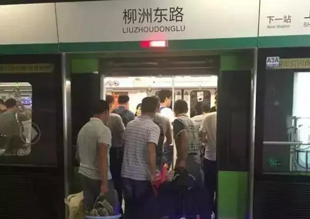 这才是董卿真实的样子,董卿跪地为什么获得网友的称赞