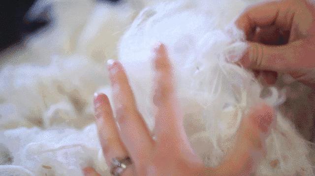 澳洲本土的ugg,澳洲ugg是什么