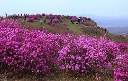 哈尔滨一座不用担心温饱的城,哈尔滨是一个硬核的城市