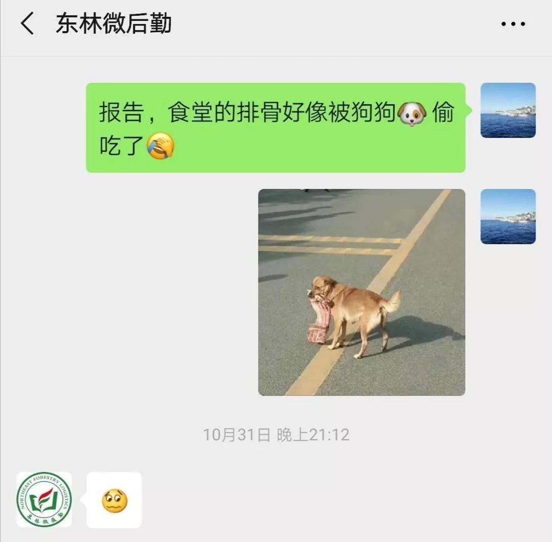 闉嬪瓙琚滃瓙琚埆浜哄伔,闉嬪瓙琚滃瓙琚伔