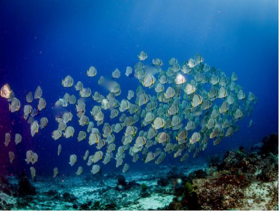 走过很多地方的诗句,走过很多地方原唱