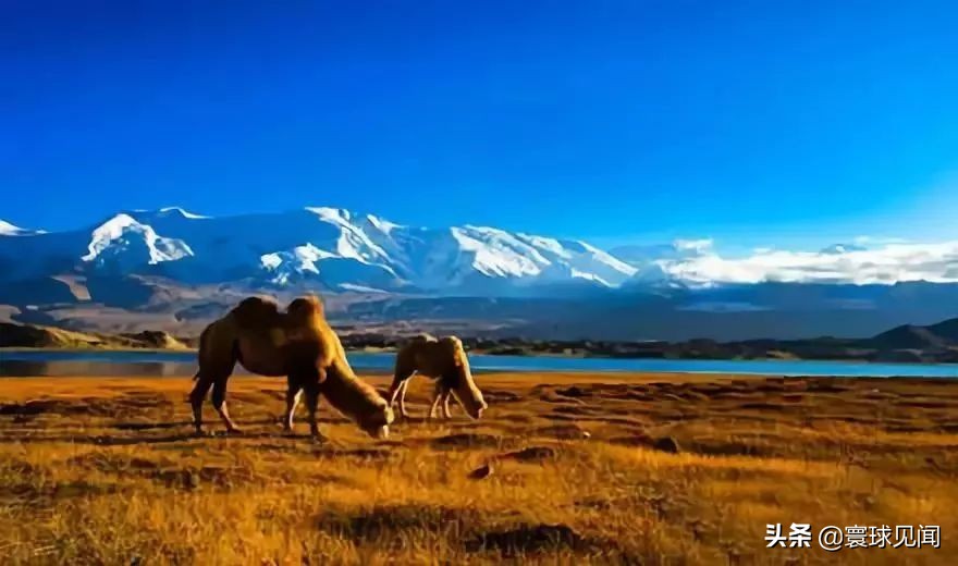 中国之最的城市你知道多少,中国之最你们都知道吗