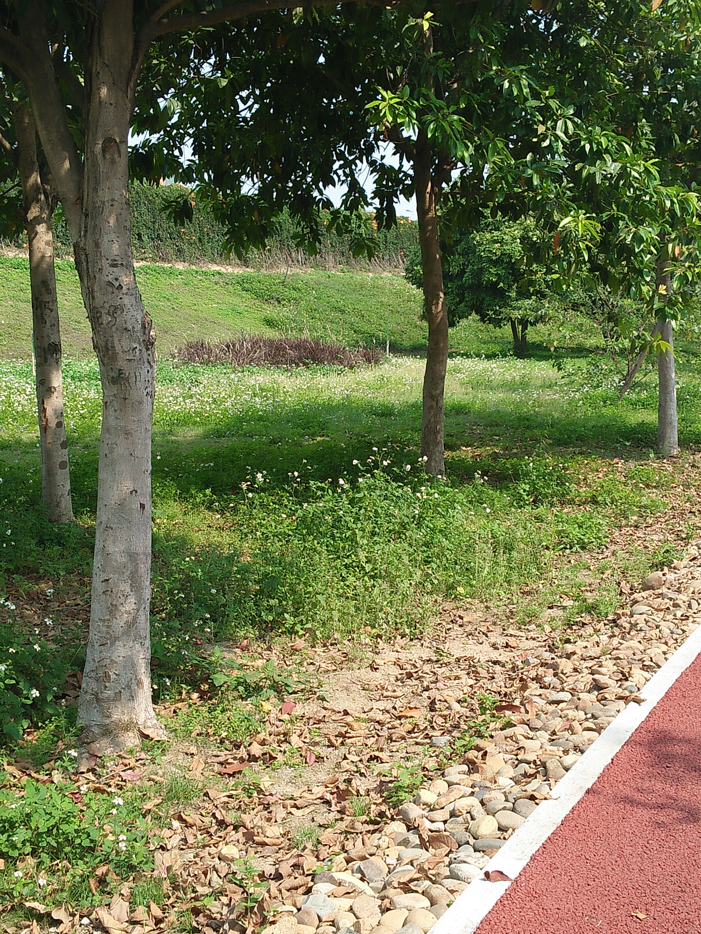 立春散文随笔,立春午后游记