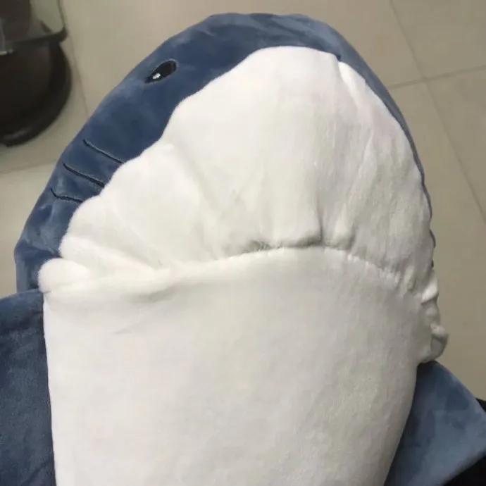 狗狗偷吃红烧肉还把主人坑惨了,狗狗偷吃了好多宠物零食