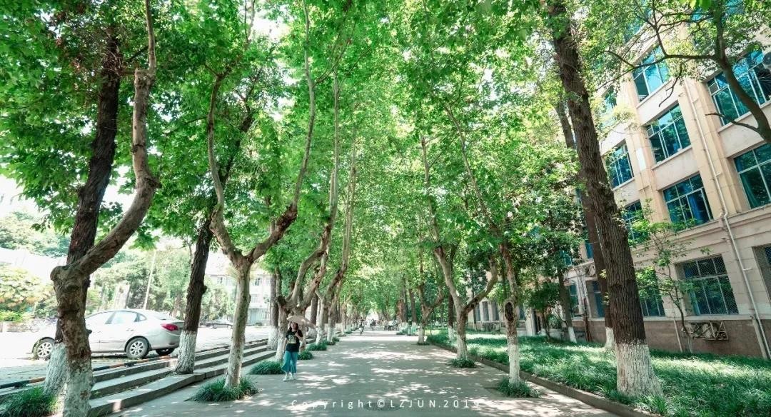 成都“二仙桥”火遍全网！这所一流大学坐落于此，地铁直达校门口！