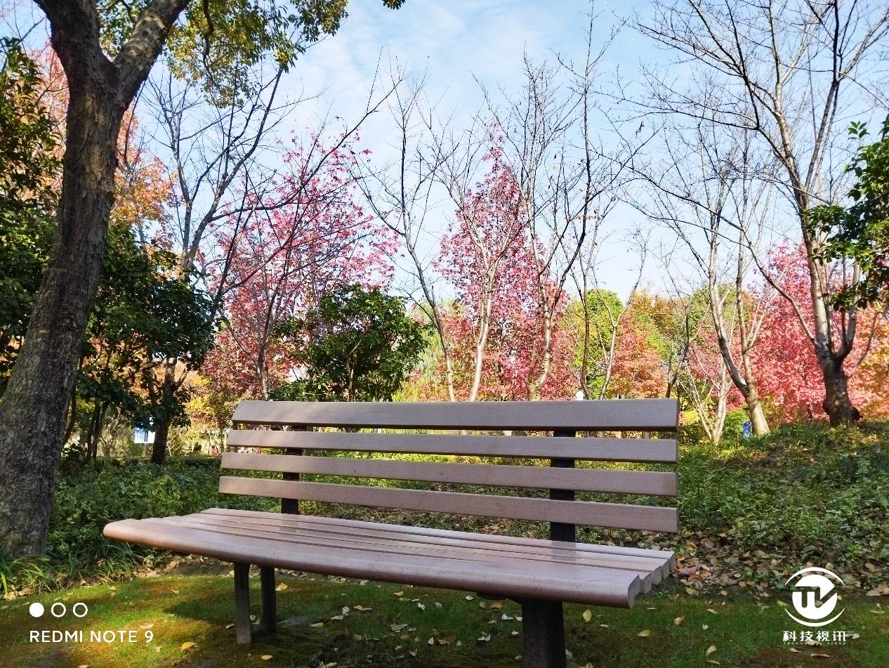 redmi性价比最高的1000左右手机,redminote9和note9pro哪个好