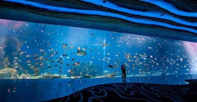 企鹅酒店三日两夜套票,企鹅极地主题酒店