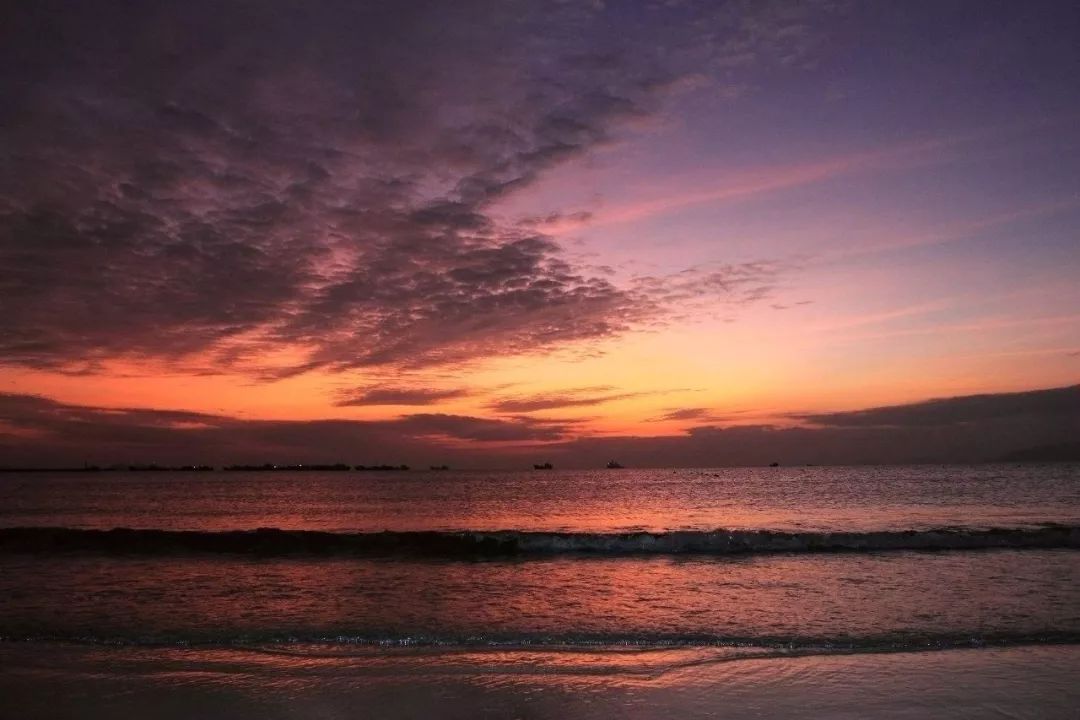 山东凤祥集团刘志光是什么职务,凤祥集团刘志光现在的情况咋样