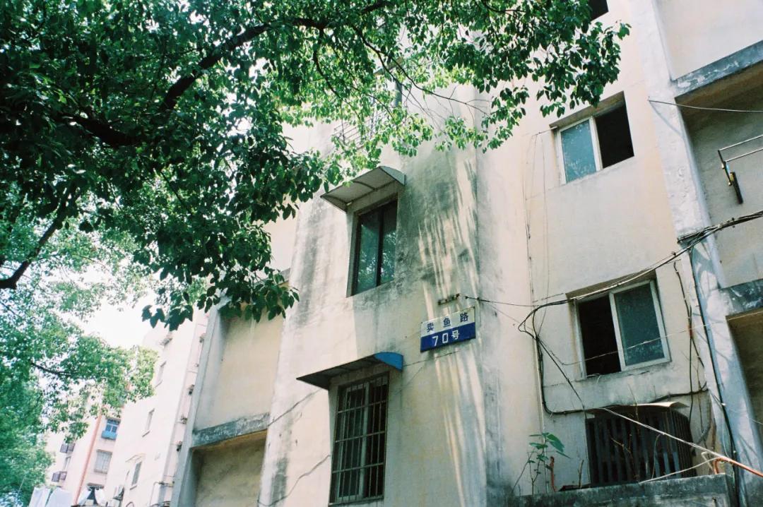 这该死的魅力啊,一个你意料之外的宁波