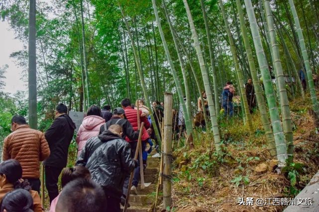 龙南冬天美景,龙南一日游的真实感受