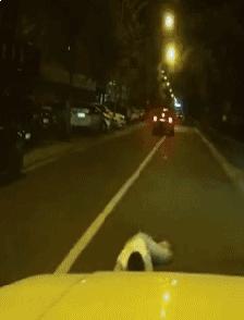 搞笑动图gif女司机,搞笑动图gif微信表情包