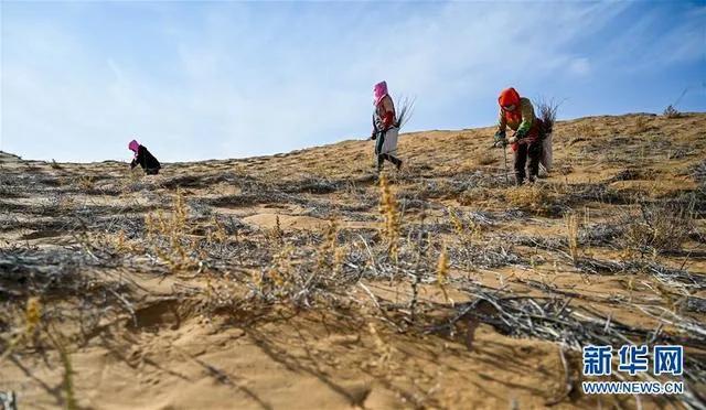 既治病又养生不上火,既治感冒又治鼻炎