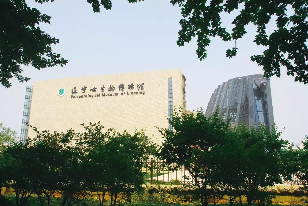 沈北新区房子销量,沈北新区新楼盘销量