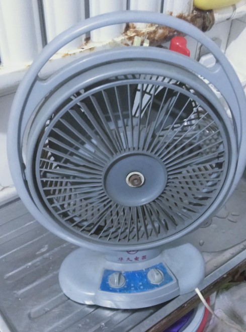 台式电风扇电机结构图,电扇台式电机实物电路图