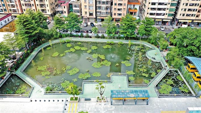 且听铿锵足音喜看塘尾变迁