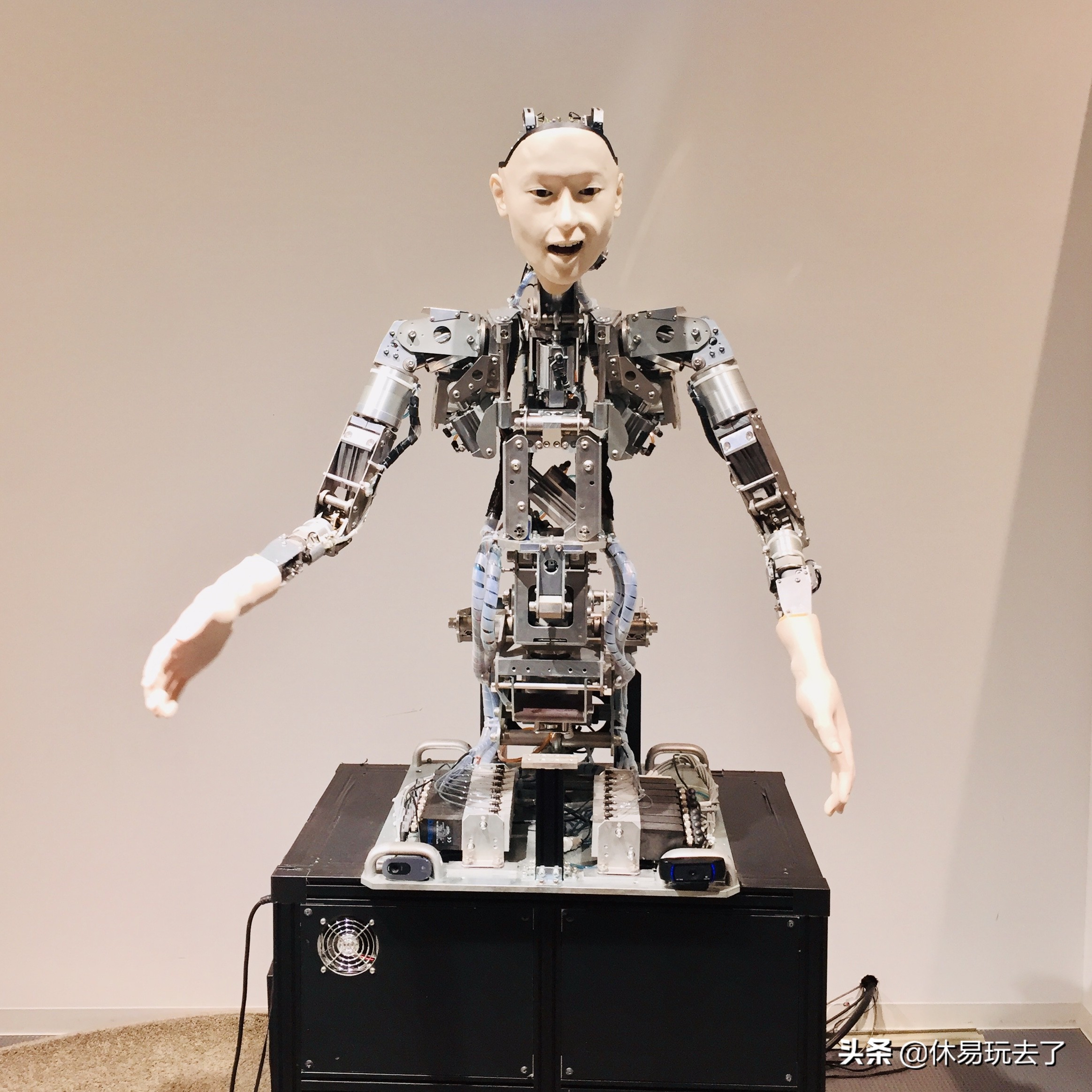 1月份东京亲子游攻略,轻松游日本京都奈良