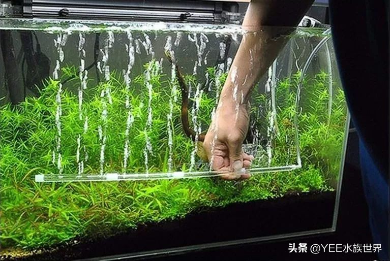 氧气泵太吵从这几点入手效果明显,鱼缸氧气泵太吵怎么解决