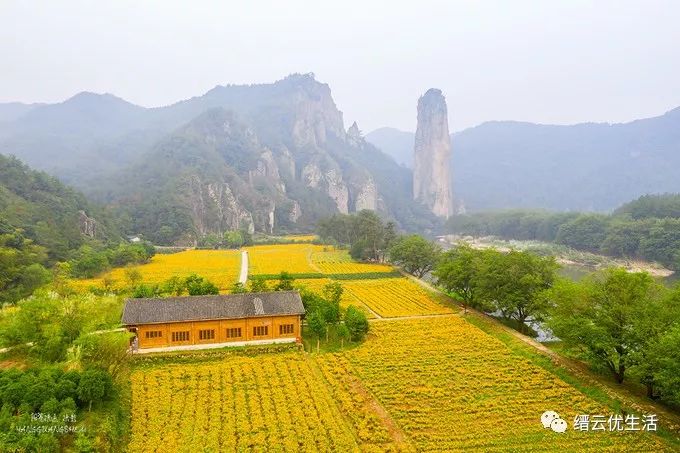 美哭了宛若人间仙境,缙云人间仙境