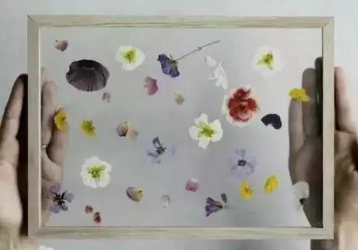 情人节收到的花别扔,情人节花别丢