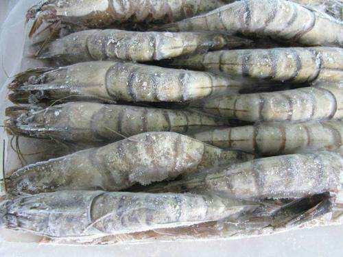 冷冻虾的家常腌制方法