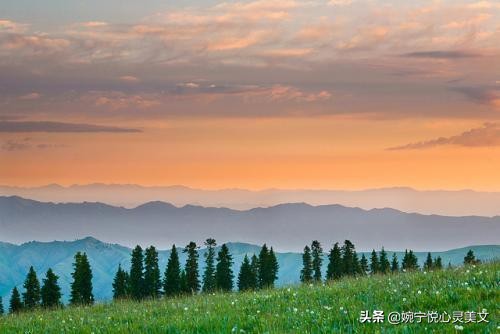 最好的朋友不需要刻意维护感情,任何感情不值得你用生命维护