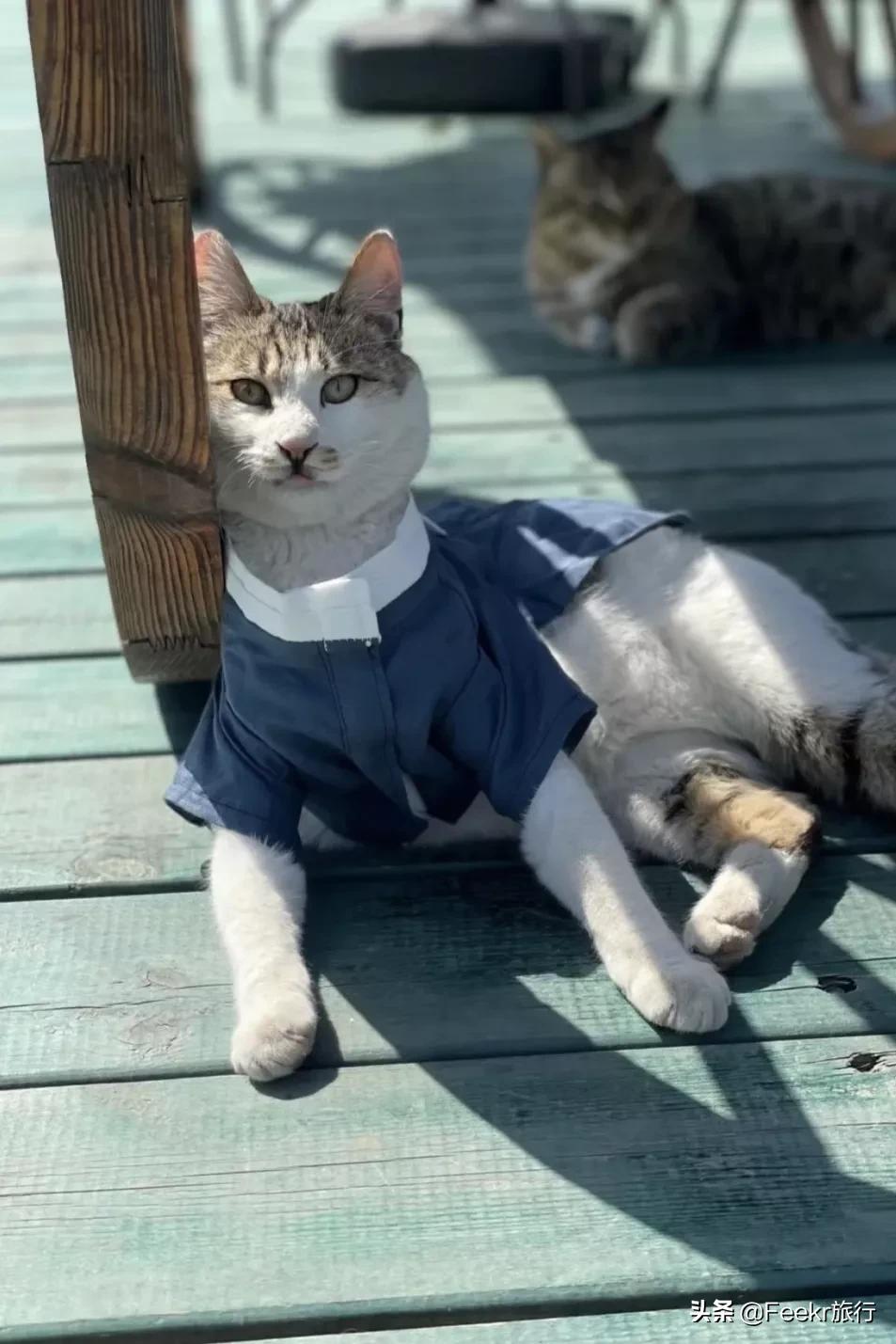 中国世界美食之都,中国世界美食之都排名