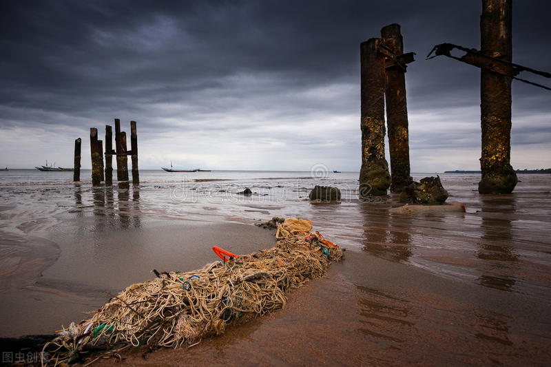 2019年埃博拉病毒致死,埃博拉病毒最短死亡时间