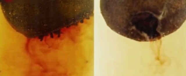 如何分辨青柑普洱的真假,大红柑普茶怎么分辨好坏