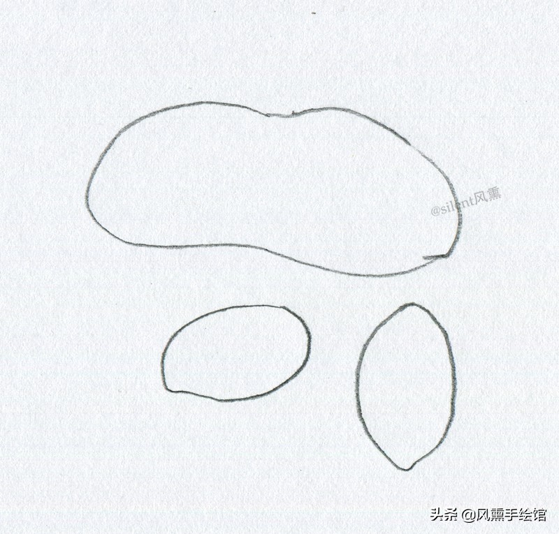 彩铅画花生教学视频,彩铅花生的画法