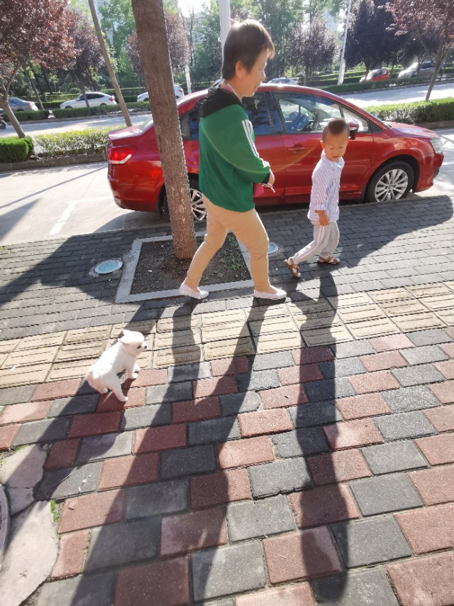 德福，不是人，是只狗！