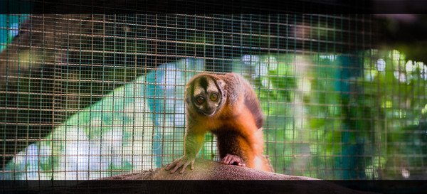 深度玩转泰国攻略,泰国游国际漫游