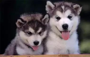 最容易读错的106个多音字赶快收藏,必背50个常见多音字你会几个