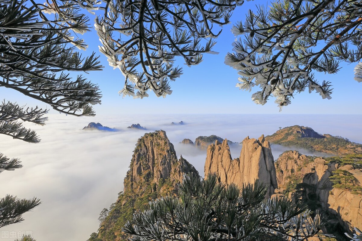 这个劲值得钻研，“说说拧绞”，为你深度解读