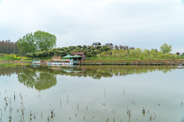 踏春赏花拍美景,踏春赏花逛湖