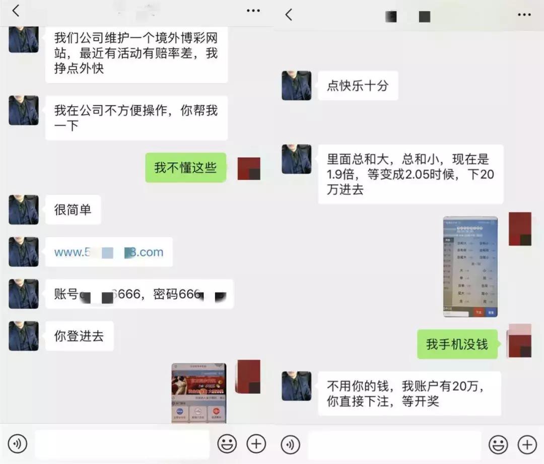 净网2019骗局视频,婚恋网被骗千万