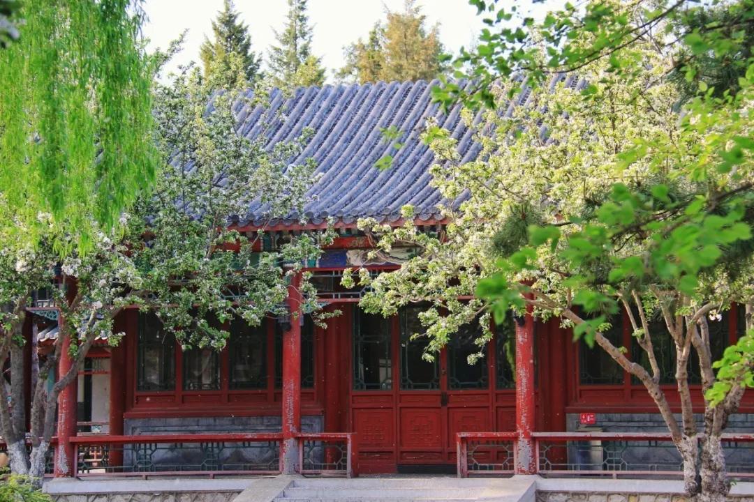 北京人少景美赏秋的公园,北京赏秋中山公园