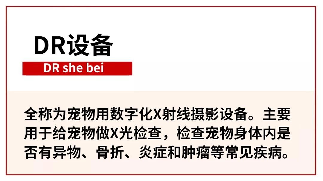 新瑞鹏深度分析,新瑞鹏和佳雯