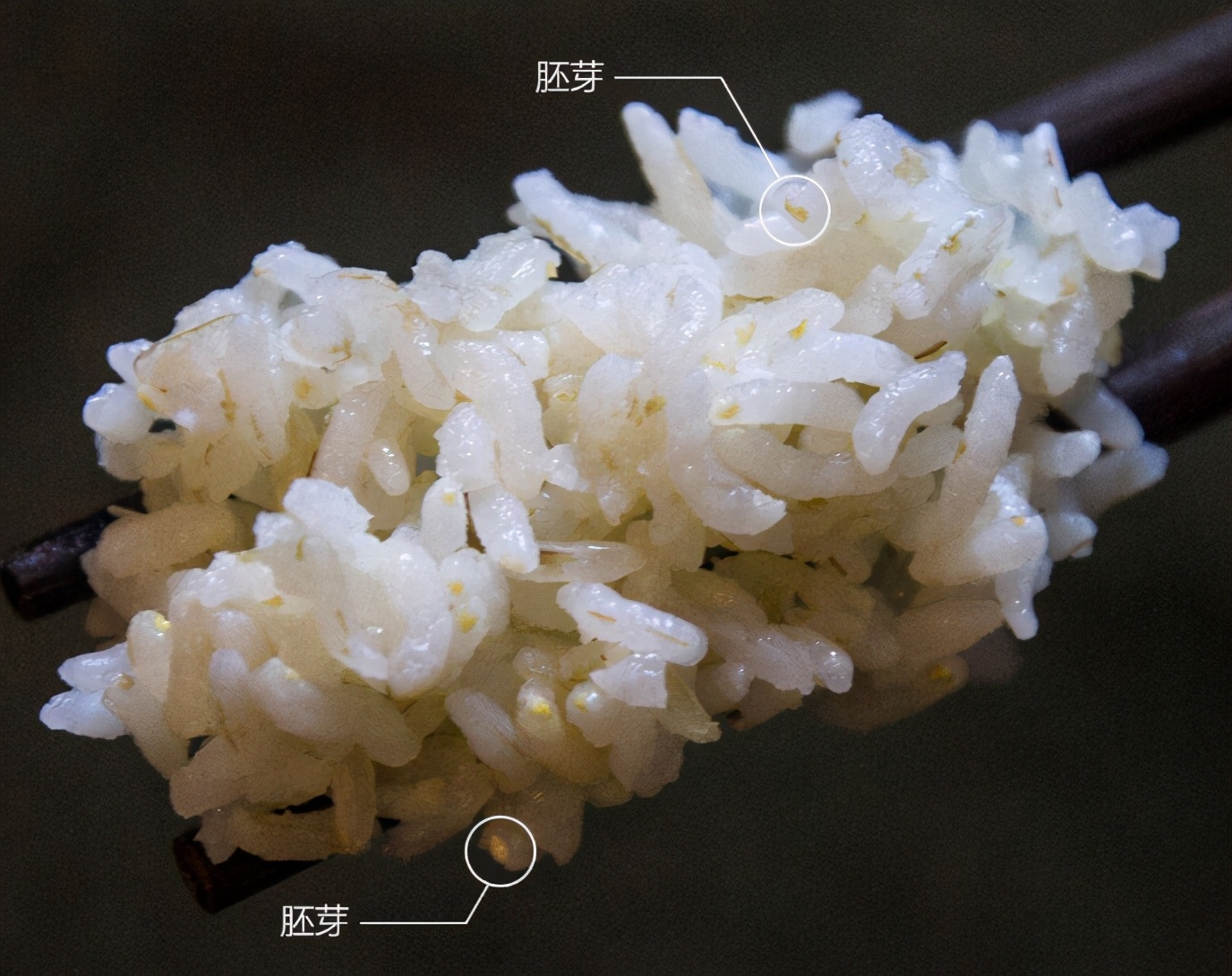 小米有品面条直播,小米有品直播间旗舰店