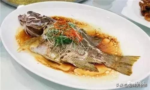 深圳常见的海鱼有哪些,新鲜海鱼有点小贵