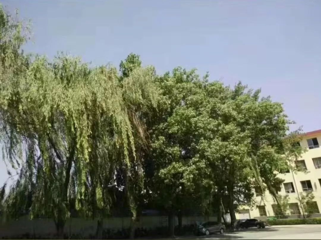 「魅力祁县」祁县旧职中，大家最后的记忆，即将成为历史