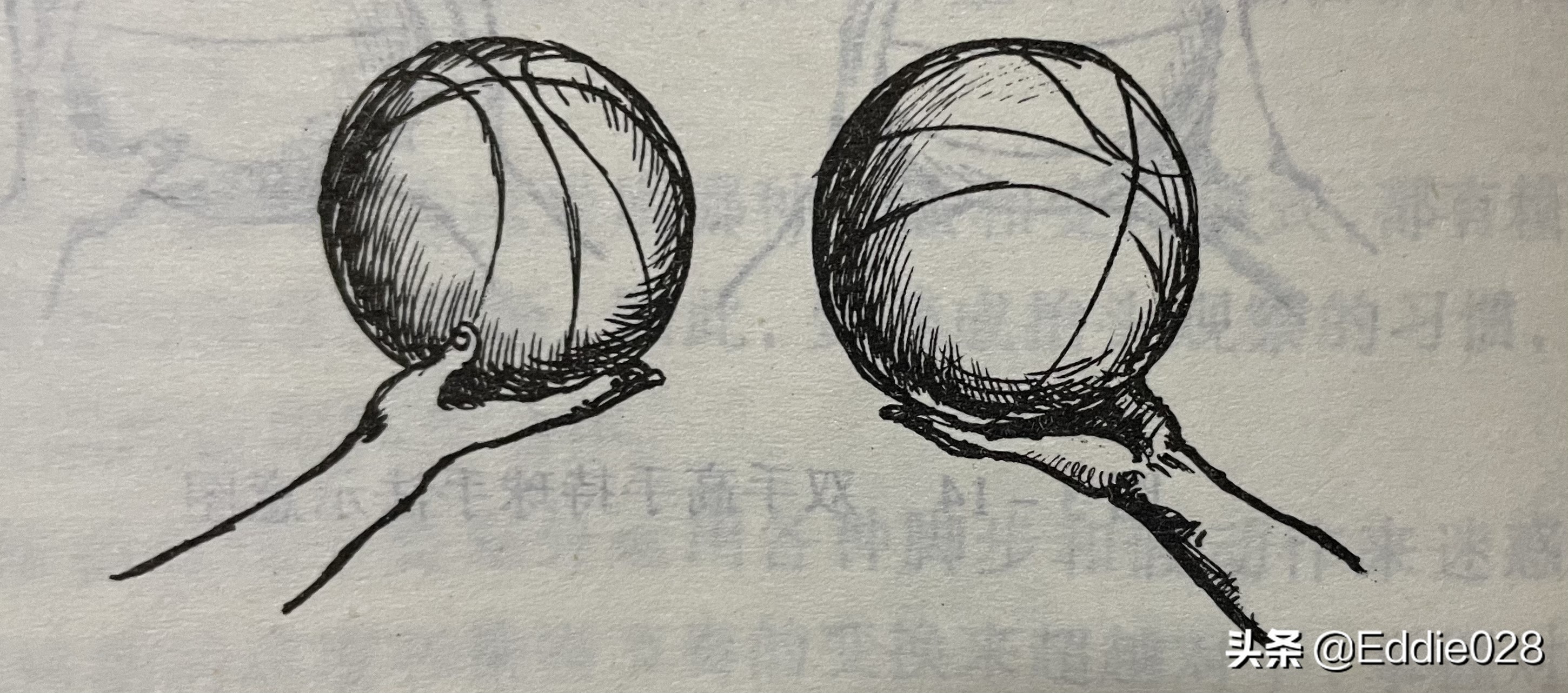 零基础篮球训练知识分享三（持球、传接球、投篮、运球）