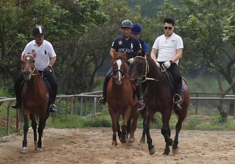 为什么骑马要先学马术,怎么骑马是贵族运动