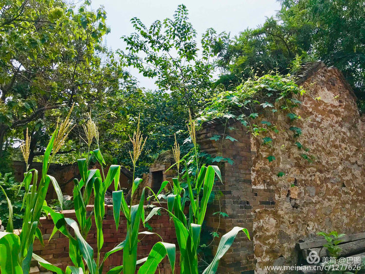 新安县铁门镇庙头村新旧照片对比,新安县庙头村的老照片